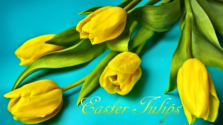 Easter Tulips F - wide screen, photography, easter, sunday, occasion, march, beautiful, holiday, photo