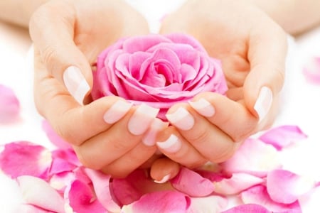 ♥ - flowers, rose, hands, pink