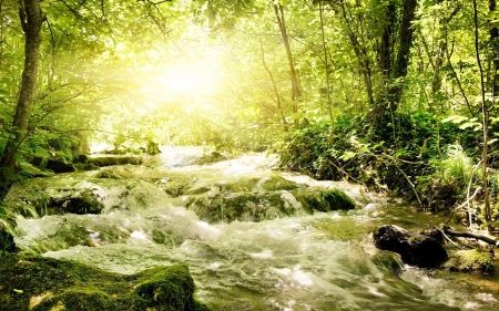 Mountain River - river, spring, nature, mountain