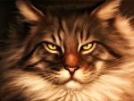 Maine Coon