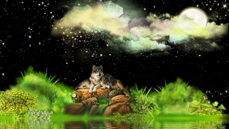 A Place Before Time - clouds, animal, lake, forest, stars, wolves