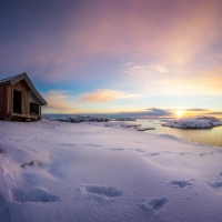 Winter Sun