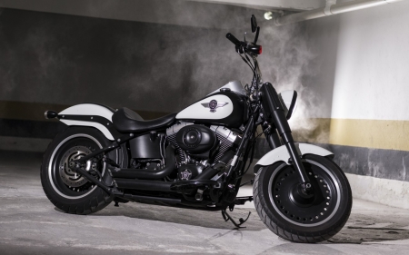 Harley Davidson - harley, motorcycle, bike, davidson