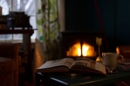 A comfy place - coffee, comfy, winter, reading, fire place, book