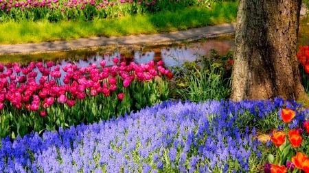 Flowers of Spring - flowers, colorful, nature, spring, color