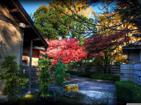 Japanese Garden and Tea House