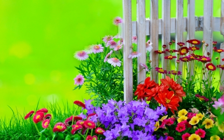 Spring garden - fence, freshness, lovely, spring, painting, pretty, blossoms, beautiful, artwork, flowers, garden