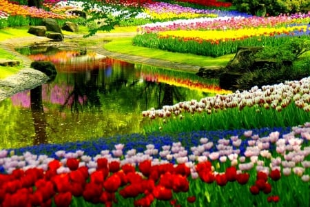 Colorful Spring Flowers - nature, park, colorful, flowers, garden, spring