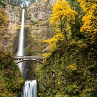 Multnomah Falls Columbia