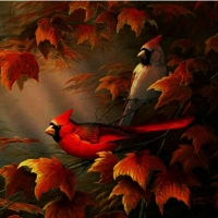 Cardinals at Fall