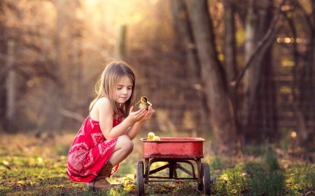 Little girl with ducklings - duckling, girl, red, child, copil, cute, spring, little