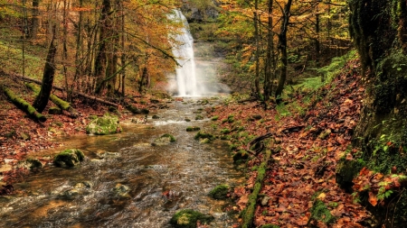 Riverfall - Forest, Leaves, Rivers, Waterfall