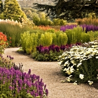 English Flower Garden