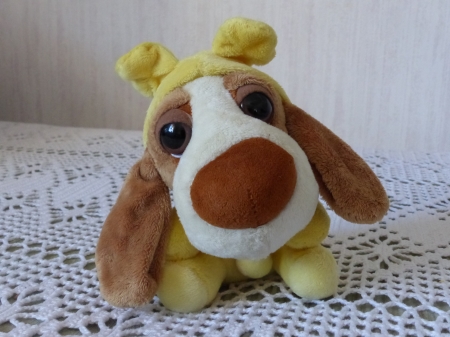 Toy puppy - ears, bed, nose, puppy, wall, room, toy, colors