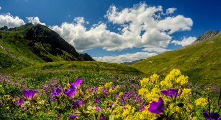 Spring mountain meadow - slope, freshness, landscape, hills, mountain, meadow, spring, grass, wildflowers