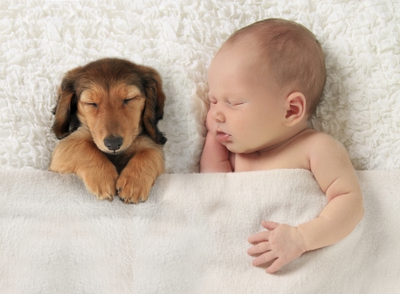 Innocents - puppy, child, funny, white, caine, sleep, baby, dog, cute