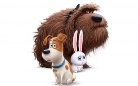 The Secret Life of PETS - life, pets, 2016, secret