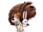 The Secret Life of PETS