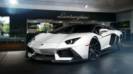 Lamborghini - white, wheel, car, lamborghini