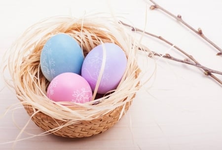 Easter Eggs - easter, nest, holiday, eggs