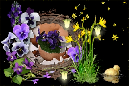 Easter - chicken, water, artwork, lanterns, ecc, daffodils, pansies, flowers, nest