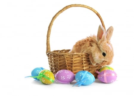 Happy Easter! - rabbit, blue, pink, bunny, easter, basket, white, animal, cute, egg, card