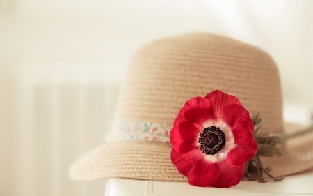 Hat and flower - hat, red, summer, black, flower