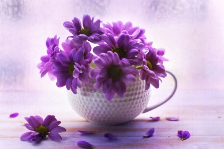 Still Life - flowers, still life, purple, cup