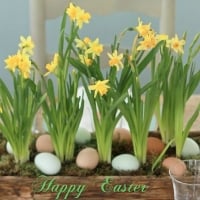 Daffodils and Easter Eggs