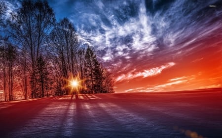 Red Snow at Sunset - sky, trees, clouds, sun, winter, field, colors