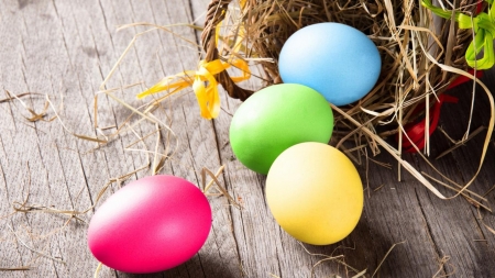 Easter Eggs - eggs, nest, Easter, painted