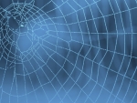 Spider's web