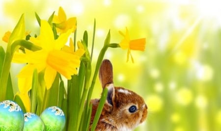 Easter bunny in a daffodils