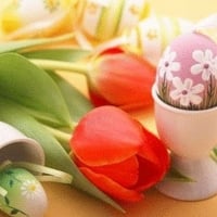 Easter eggs and tulips