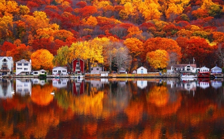 Autumn Reflection - lake, slope, house, trees