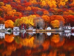 Autumn Reflection