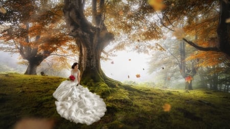 Lovely Bride - woman, tree, bride, model