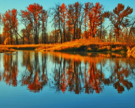 Autumn Blue Bow River - river, trees, nature, autumn, reflection