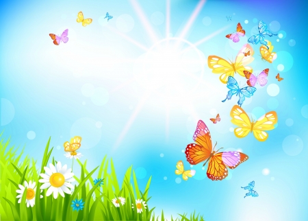 Spring Butterflies - sun rays, circles, butterflies, grass, flowers, daisies, rays, Spring, sun, sky