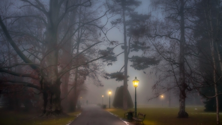 Atmosphere - cold day, trees, fog, benches, park