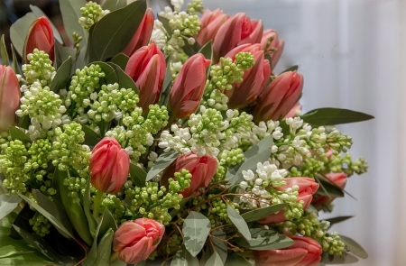 Bouquet of red tulips and white lilac - red, tulips, smell, beauty, flowers, spring, bouquet, lilac, white, freshness, photography, nature, colors