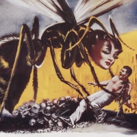 the wasp woman