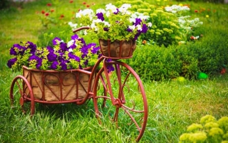 â™¥ - abstract, basket, flowers, soft