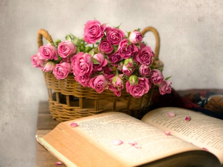 ♥ - flowers, basket, photography, soft