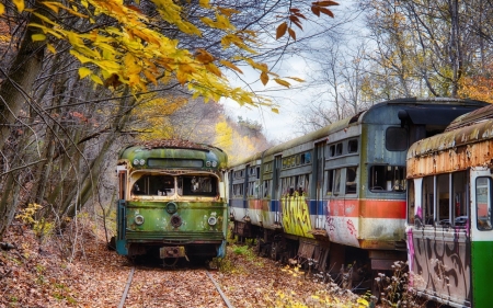 trolley-graveyard - train, trolley, graveyard, nature