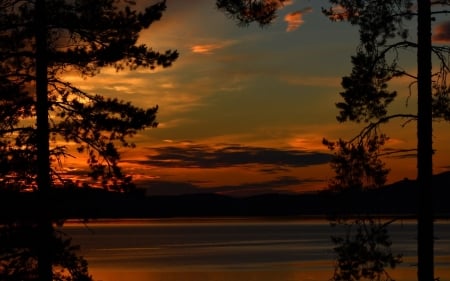 Sunset - nature, tree, sunset, clouds