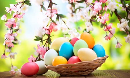 Easter Eggs - easter, blossoms, flowers, spring, basket, eggs