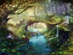 Enchanted Forest