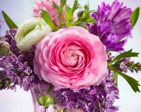 Beautiful Flowers - flowers, petals, pink, bloom