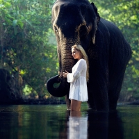 Elephant and the girl